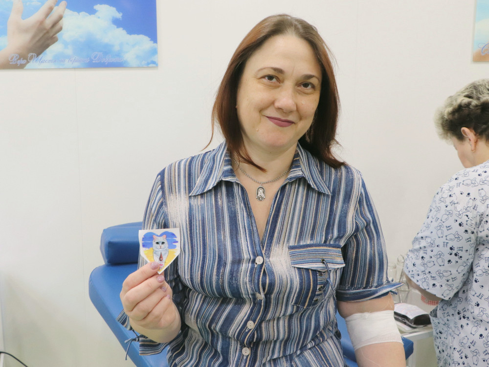 2497 image for slide