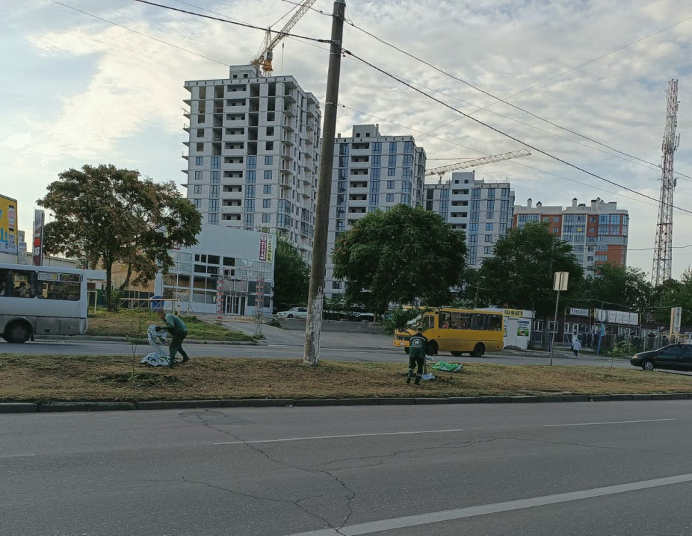 2696 image for slide