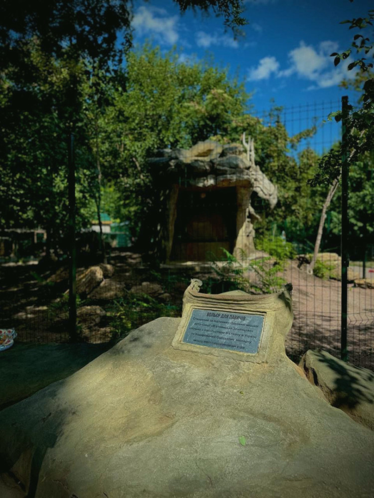 2767 image for slide