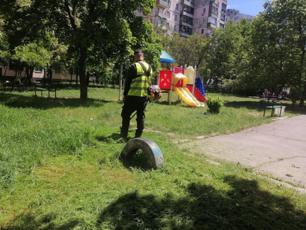 2996 image for slide