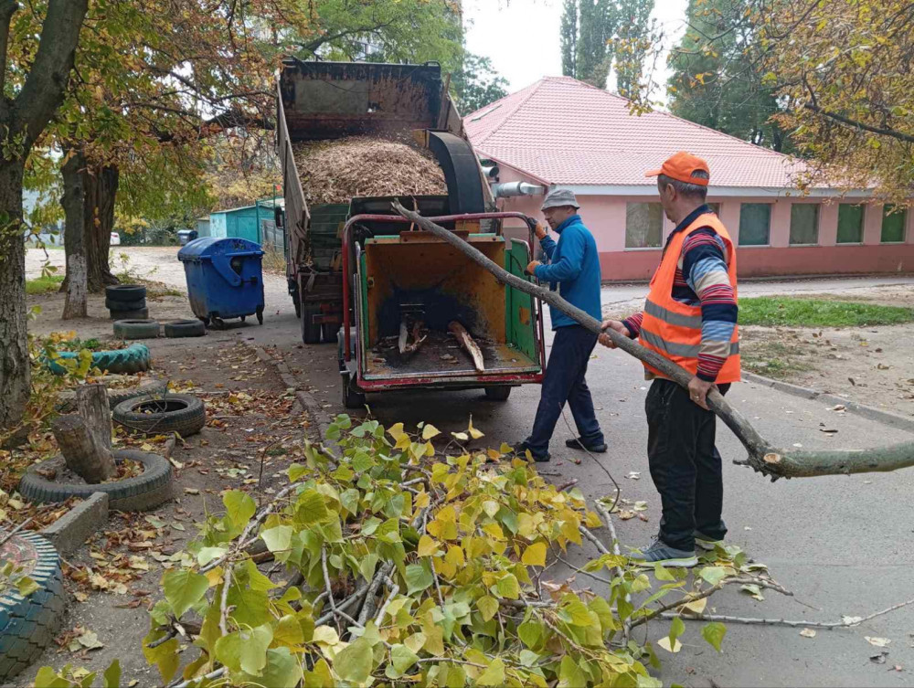 3004 image for slide