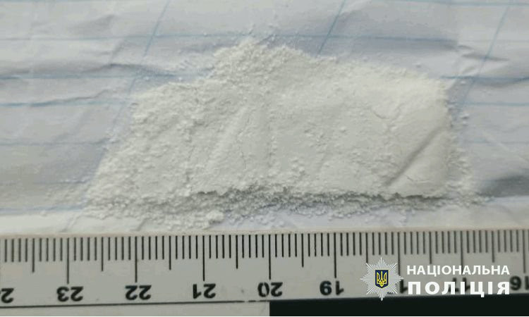 3043 image for slide