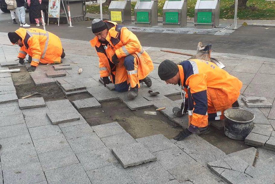 3187 image for slide