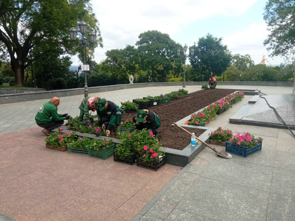 3359 image for slide