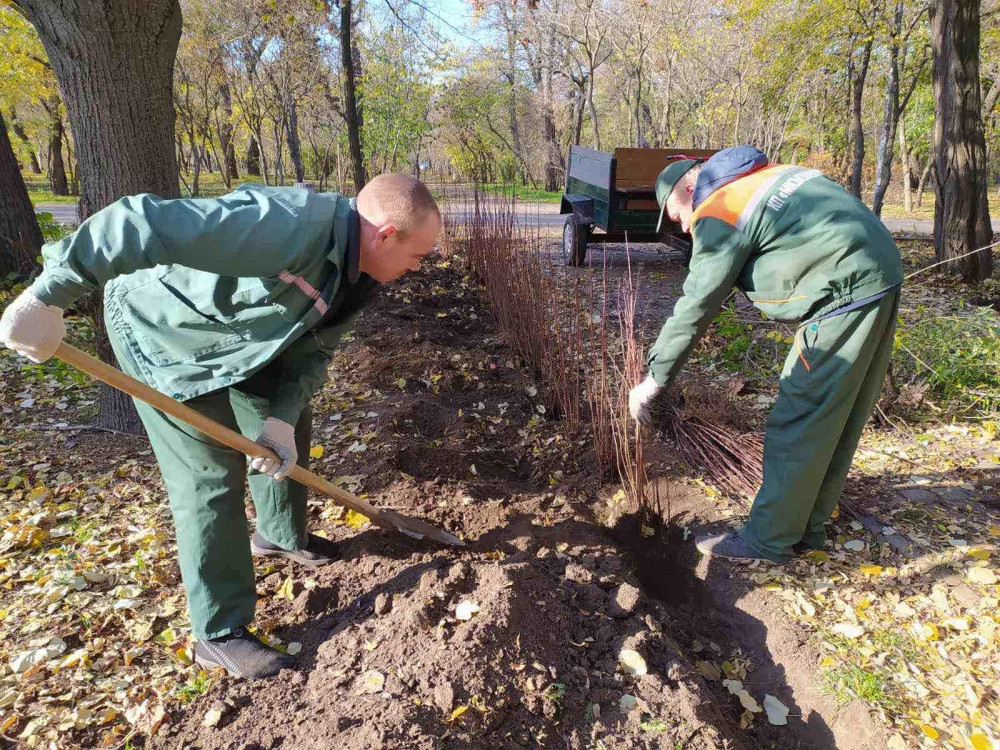 3360 image for slide