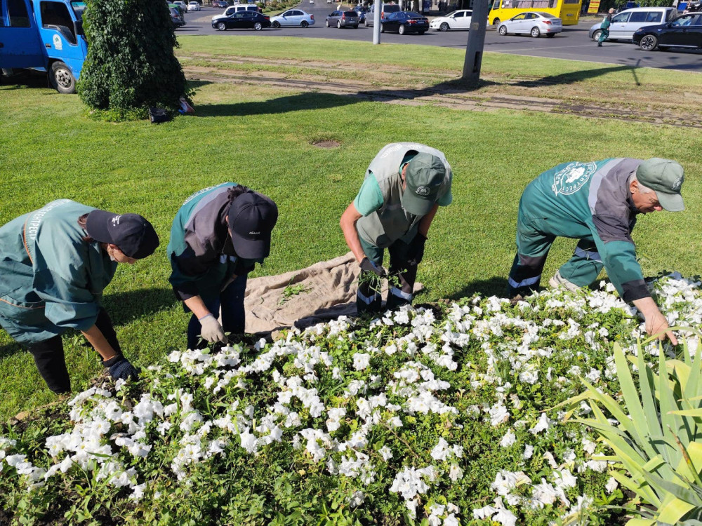 3361 image for slide