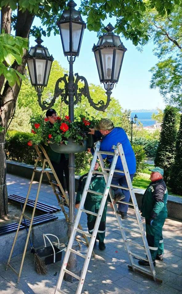 3362 image for slide