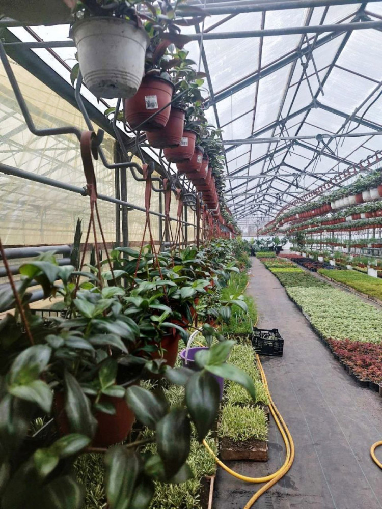 3366 image for slide