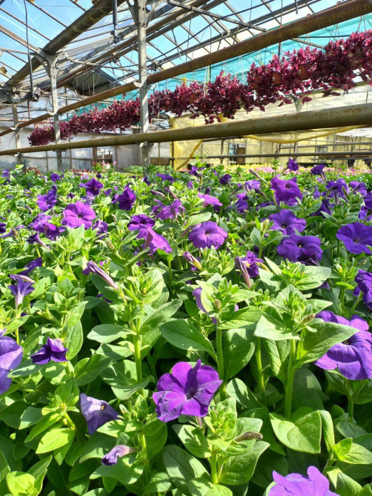 3370 image for slide