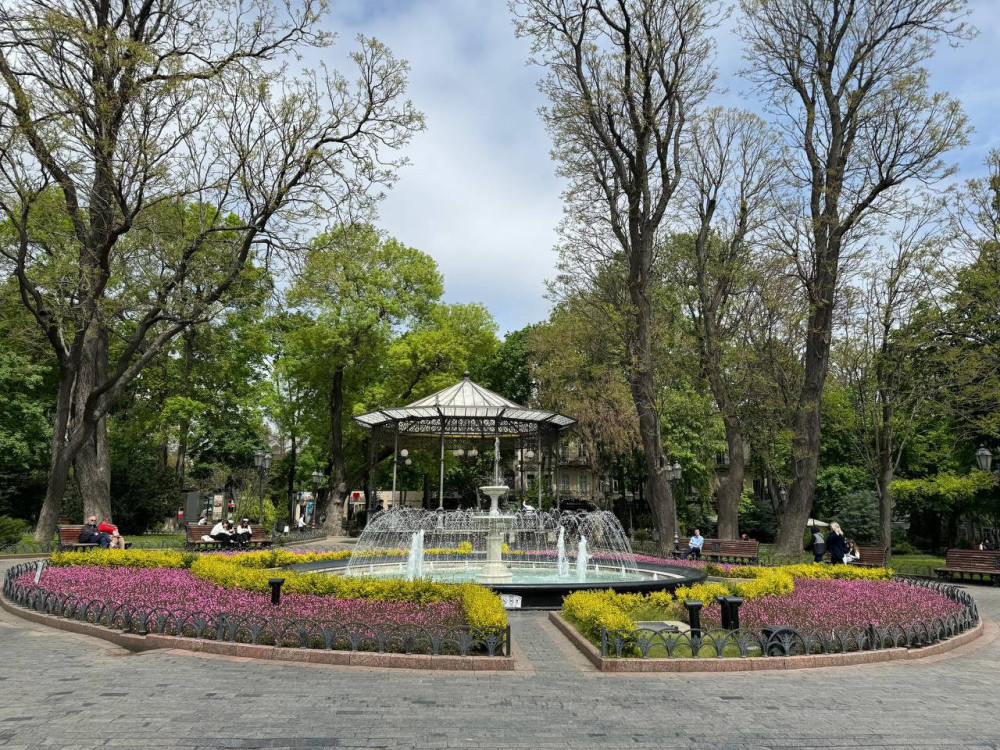 3381 image for slide