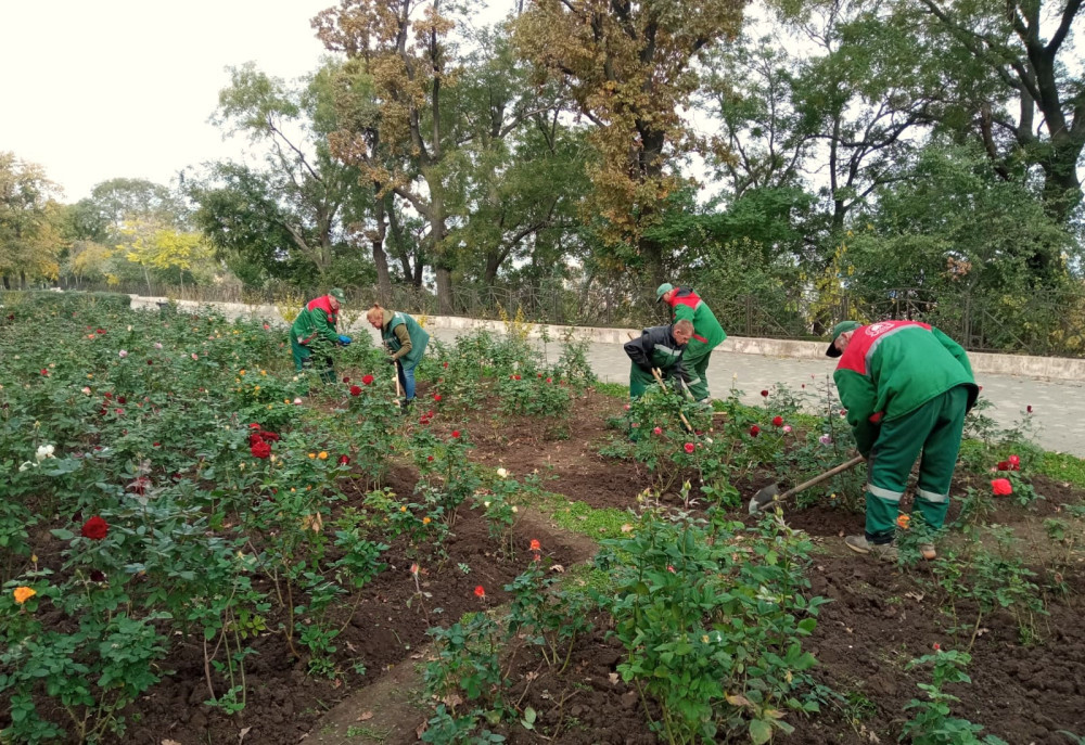 3490 image for slide