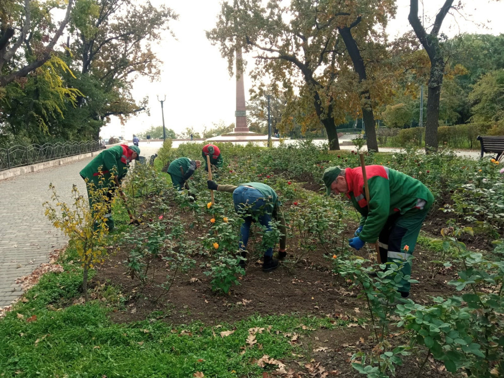 3491 image for slide