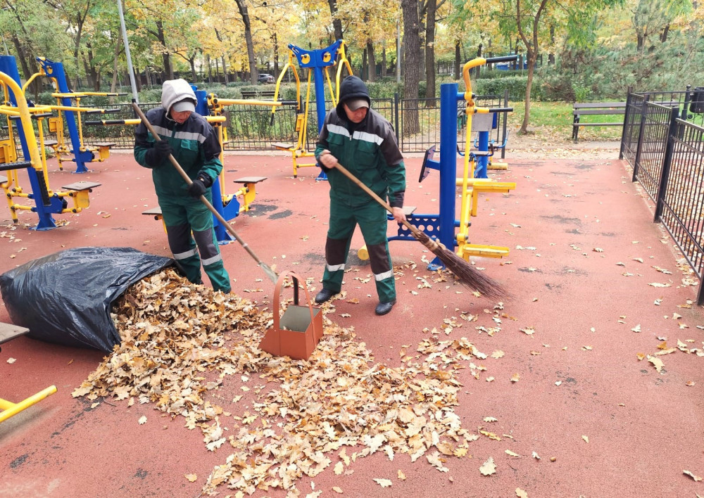 3492 image for slide