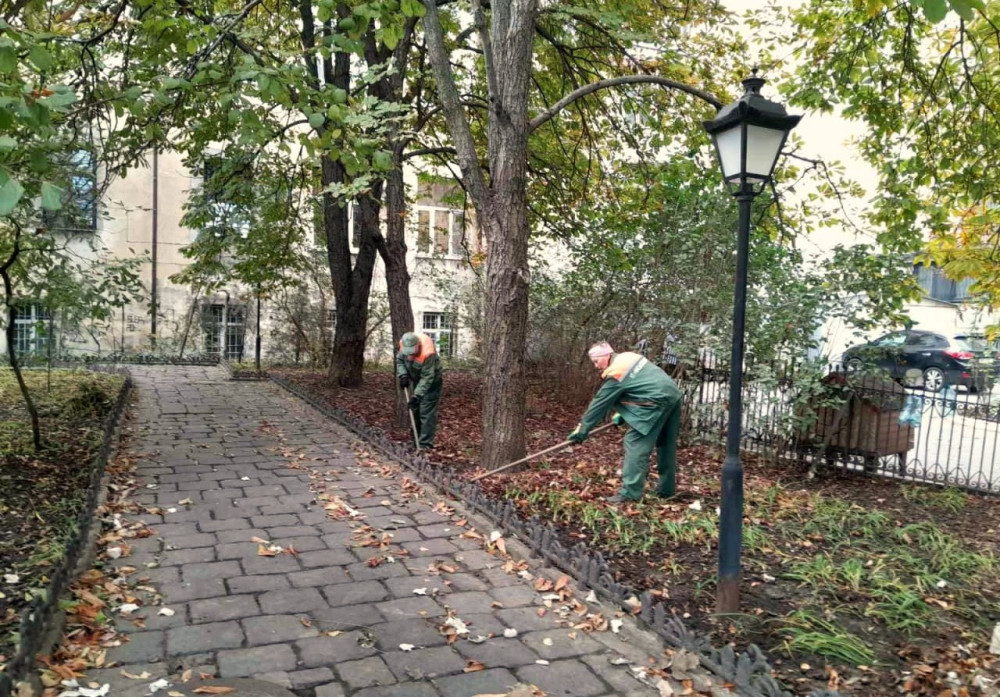 3493 image for slide