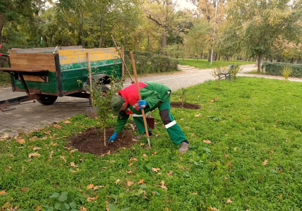 3494 image for slide