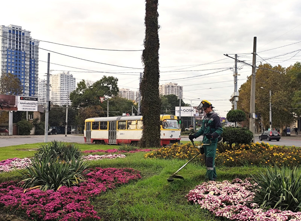 3495 image for slide