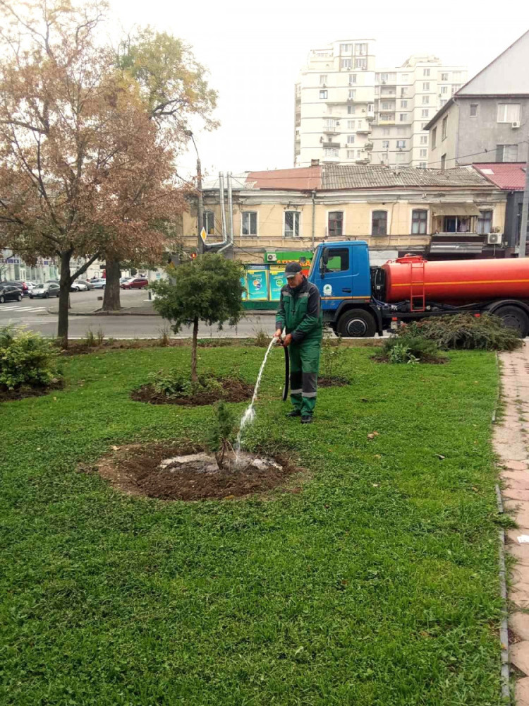 3498 image for slide