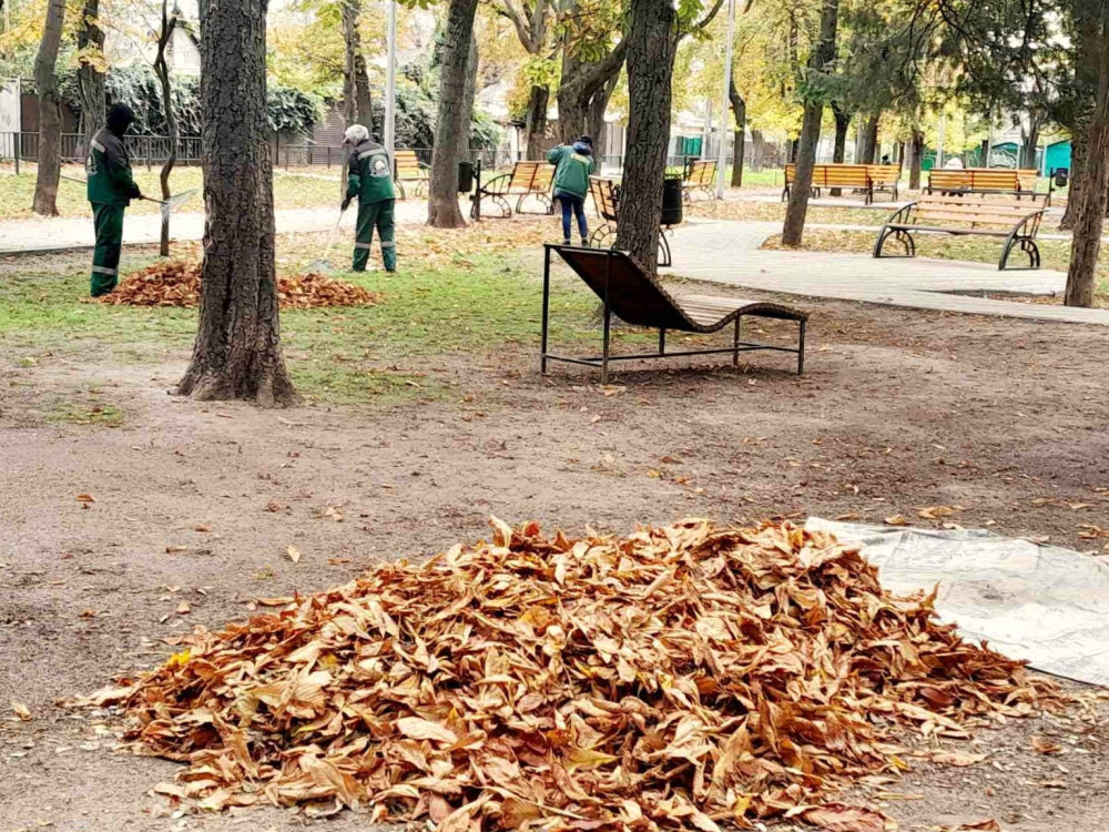 3500 image for slide