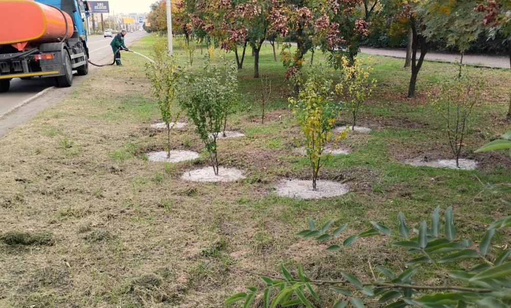 3503 image for slide