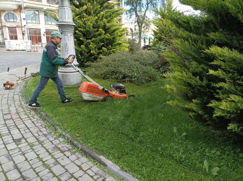 3594 image for slide