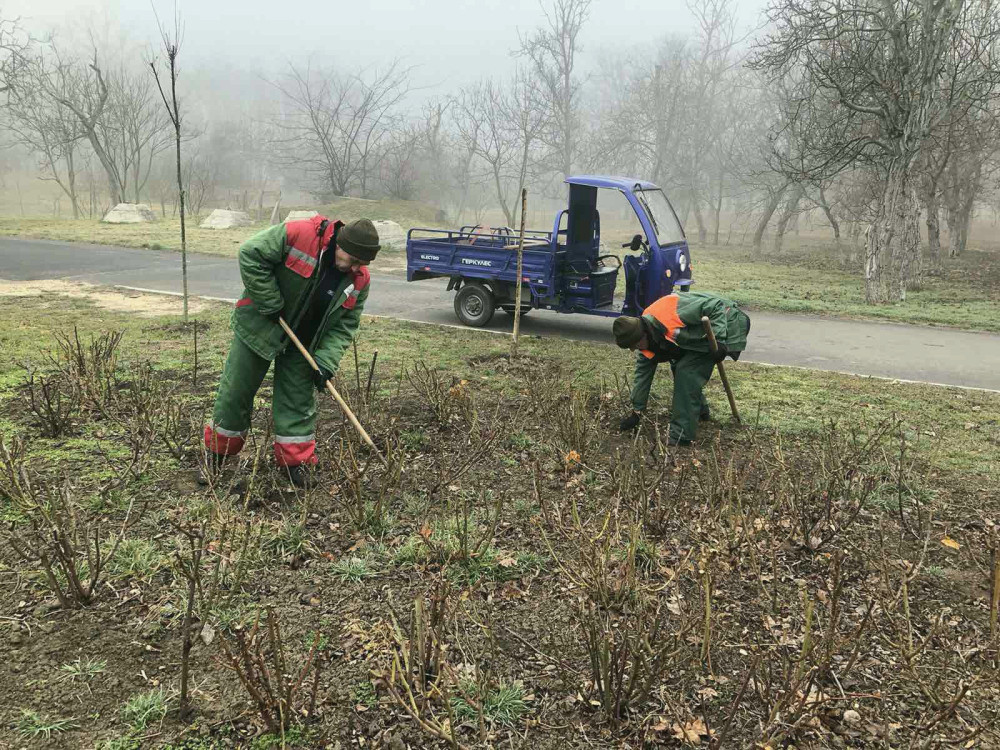 5357 image for slide