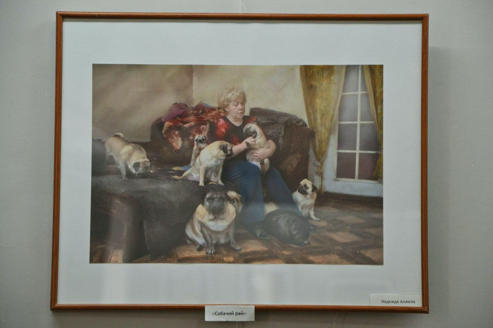 5681 image for slide