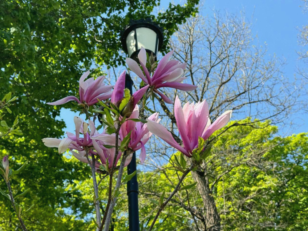 5941 image for slide