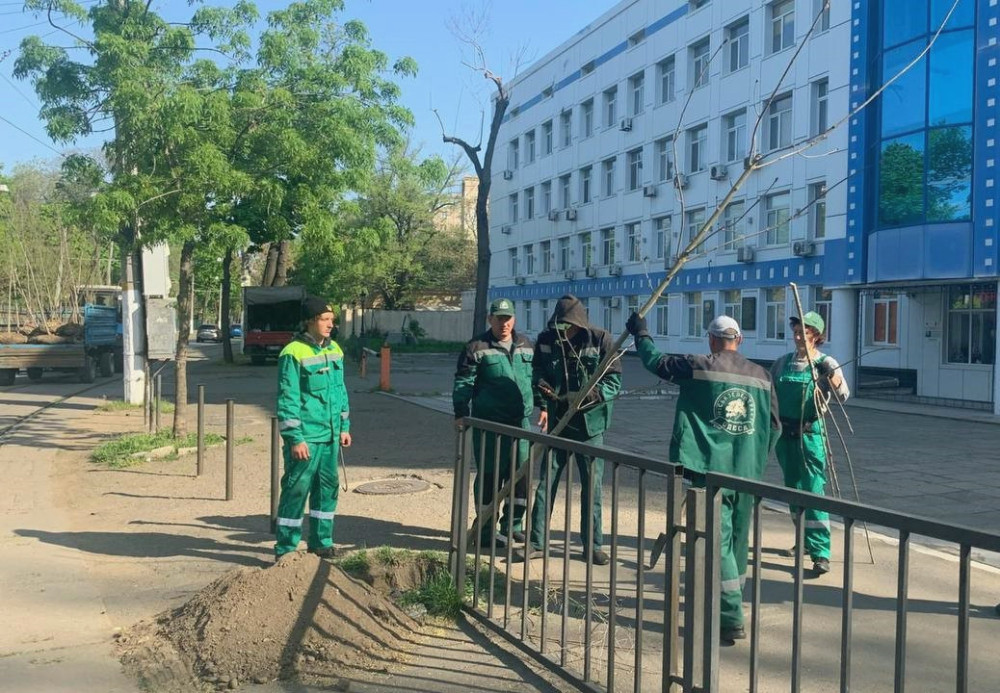 6027 image for slide