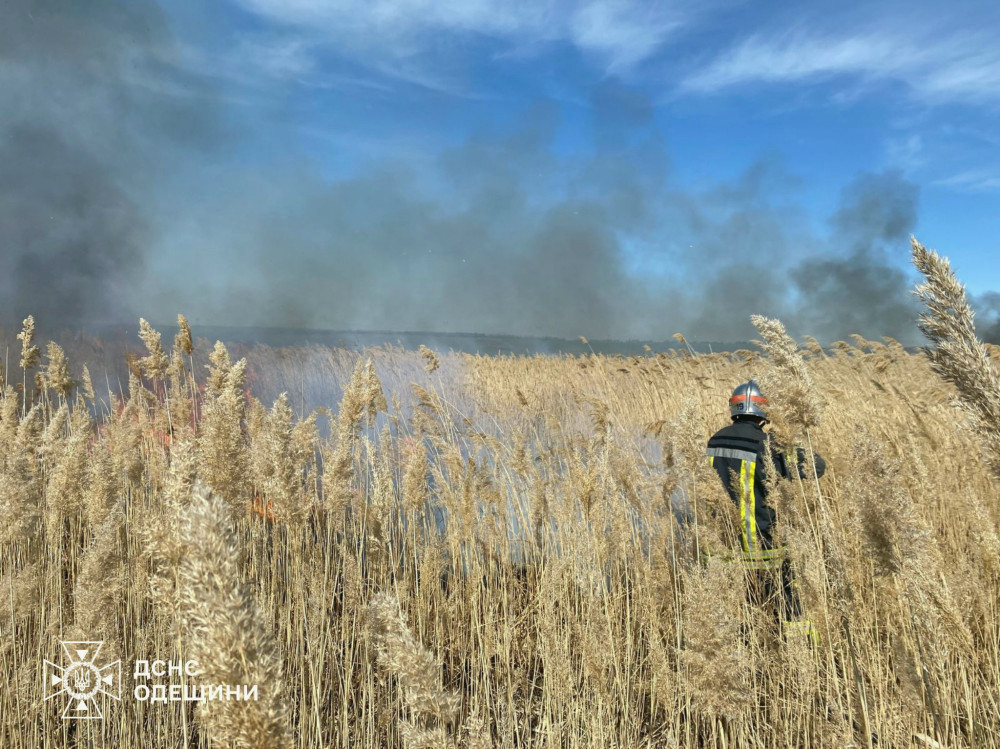 6135 image for slide