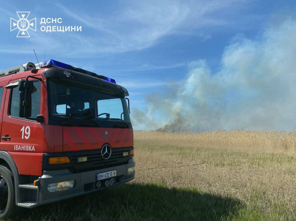 6137 image for slide