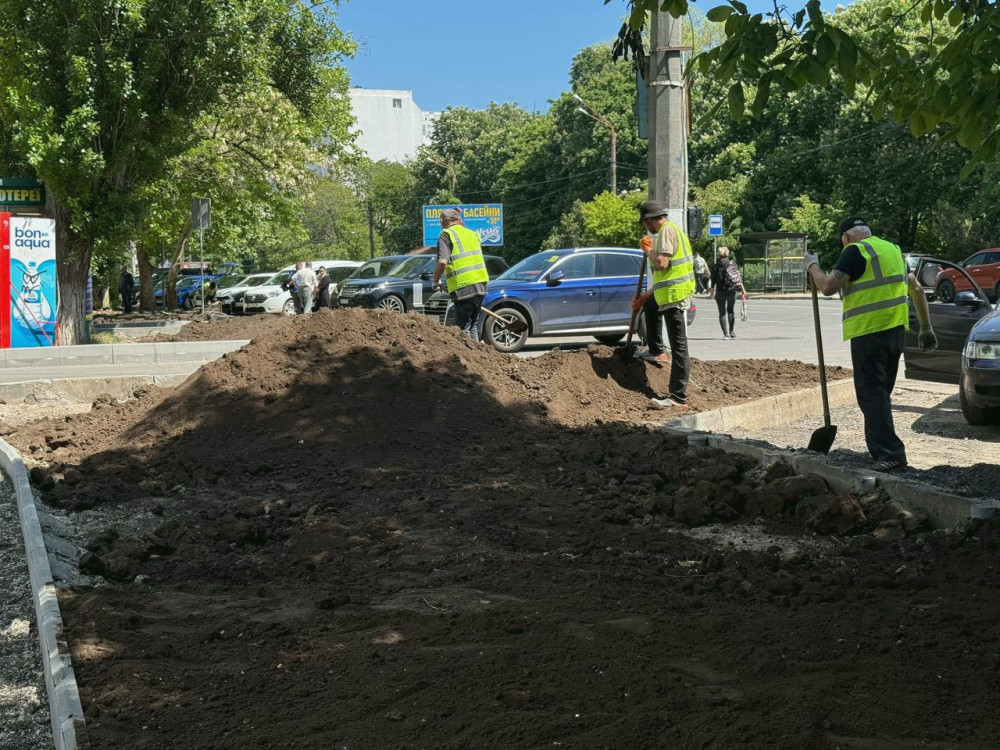 6377 image for slide