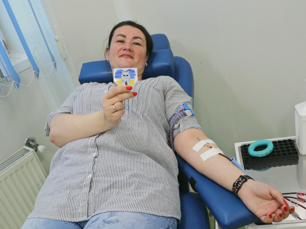 6386 image for slide