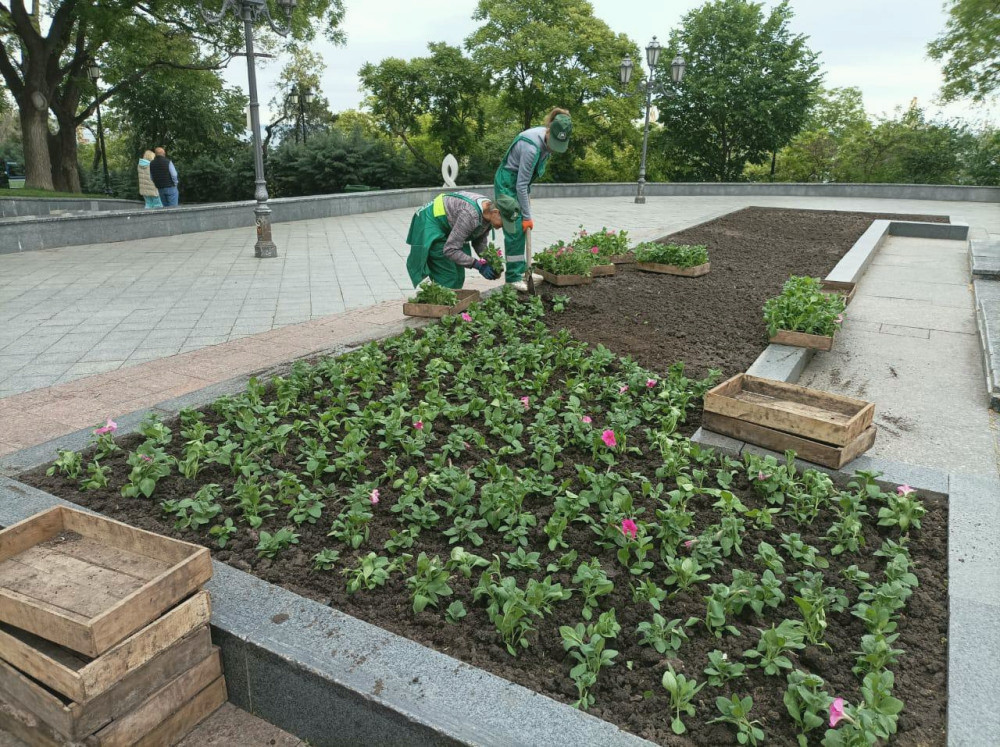 6445 image for slide