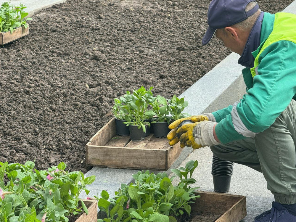 6455 image for slide