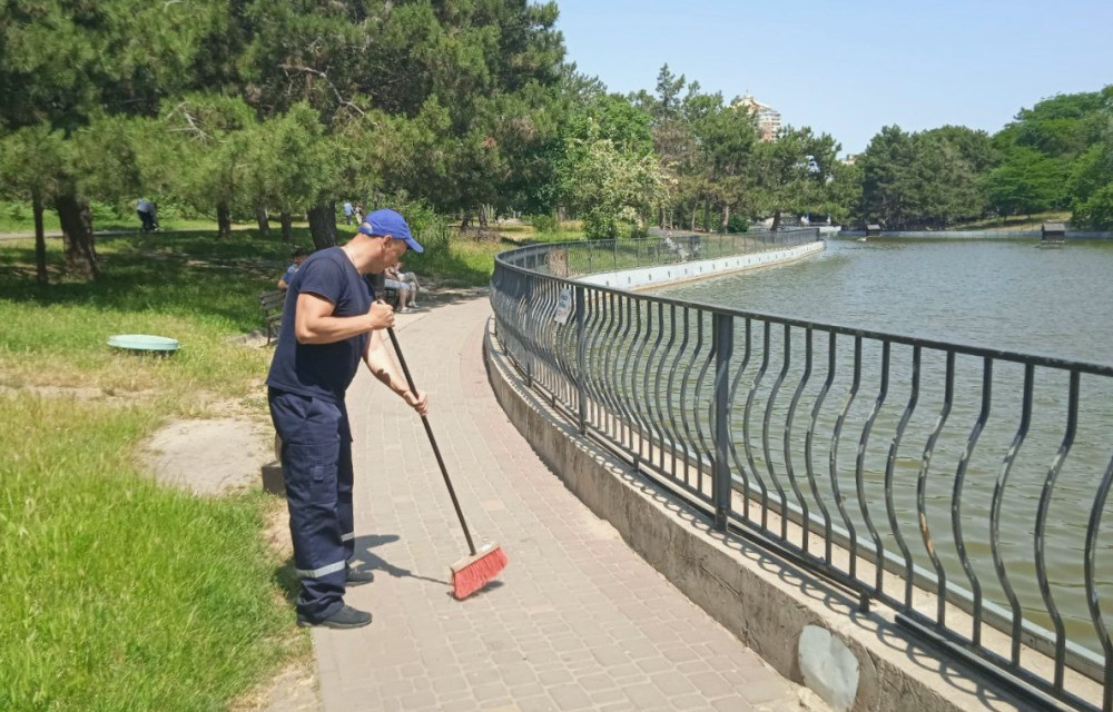 6893 image for slide