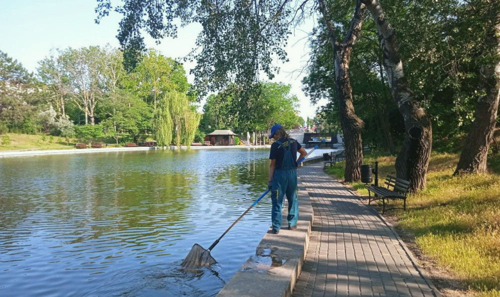 6896 image for slide