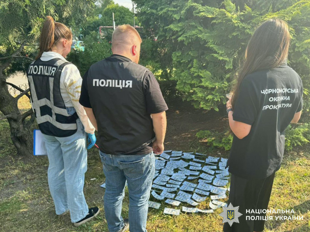 6955 image for slide