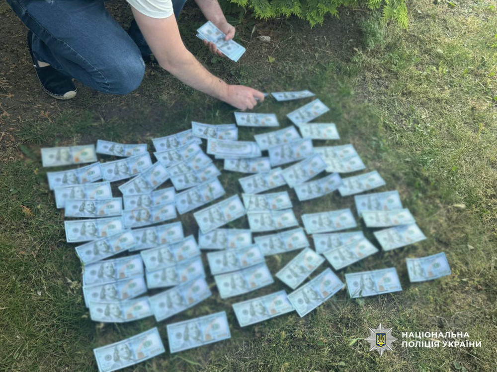 6956 image for slide