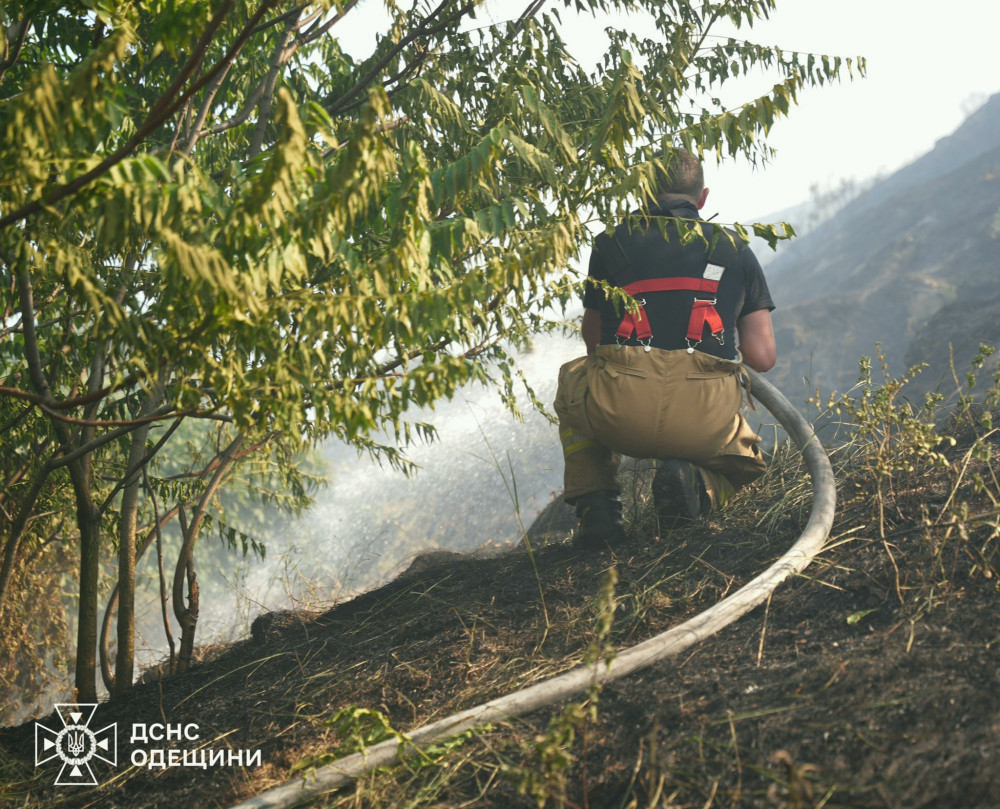 7104 image for slide