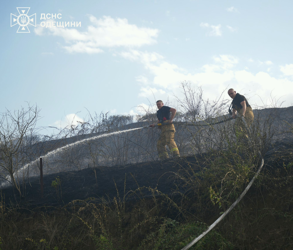 7105 image for slide