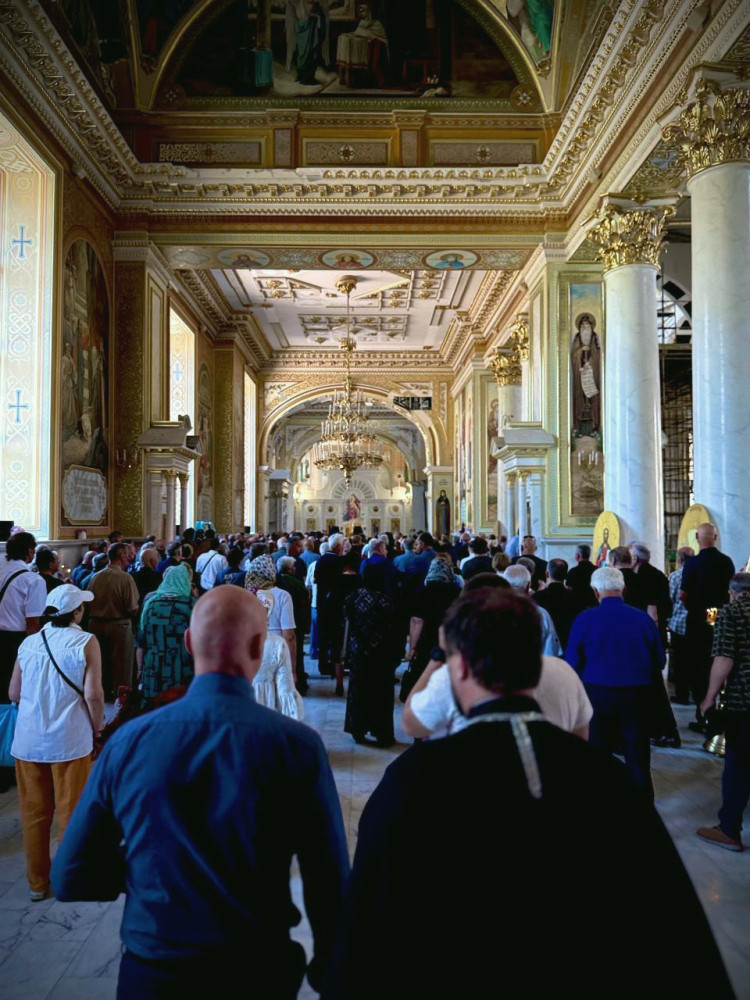 7169 image for slide