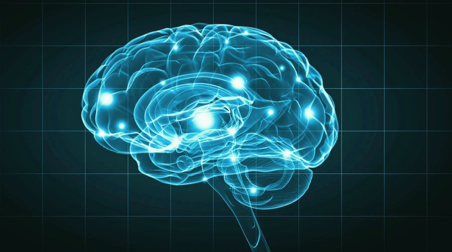 7236 image for slide