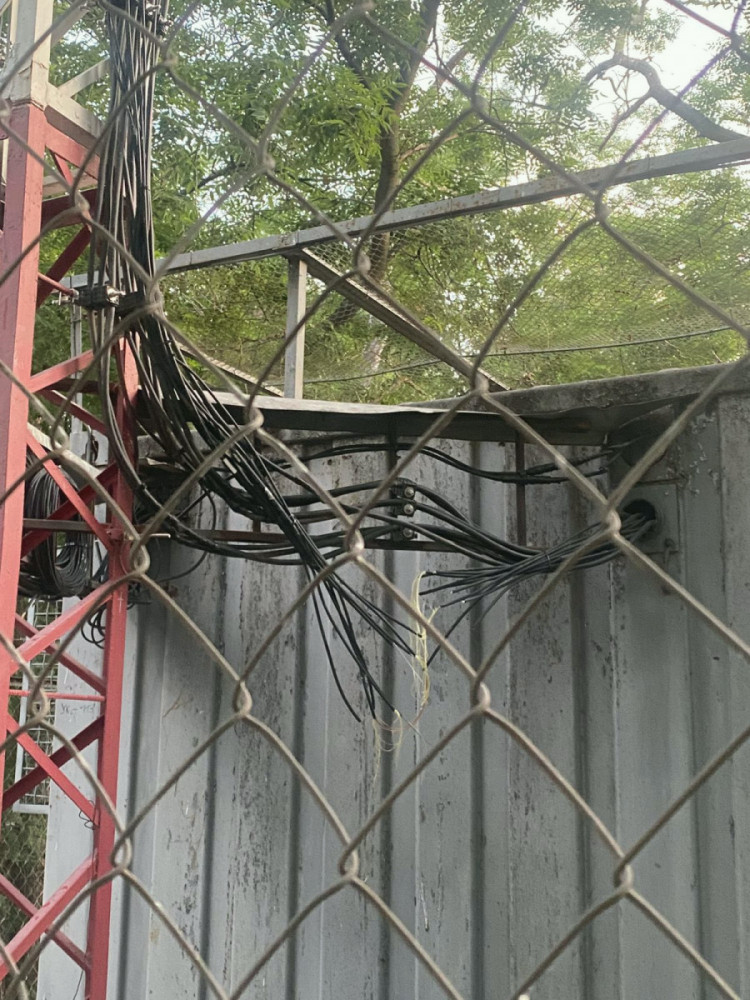 7284 image for slide