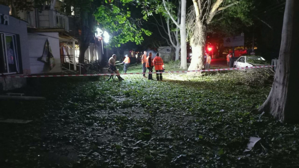 7561 image for slide