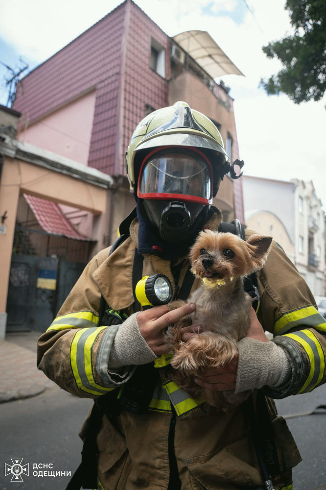 7771 image for slide