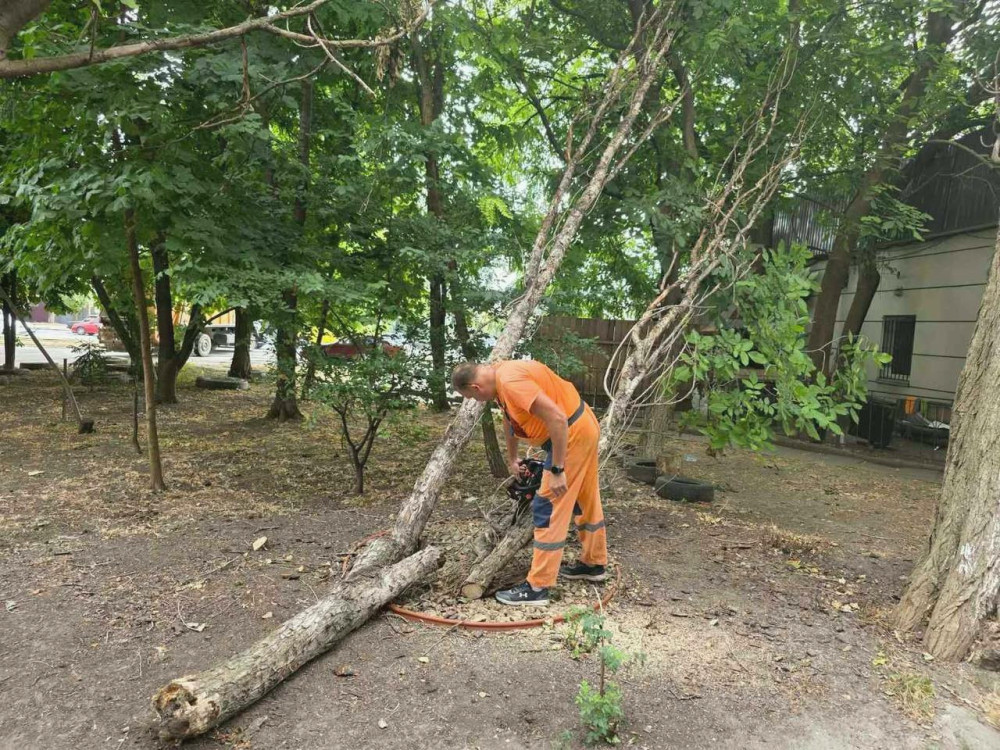 7787 image for slide