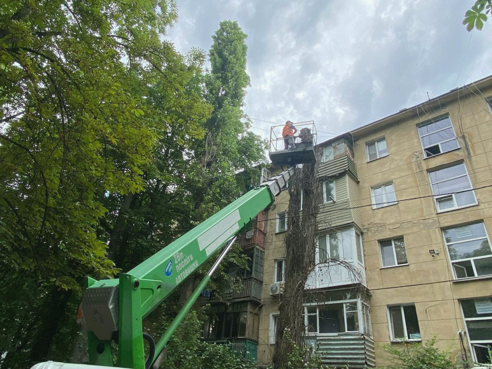 7788 image for slide