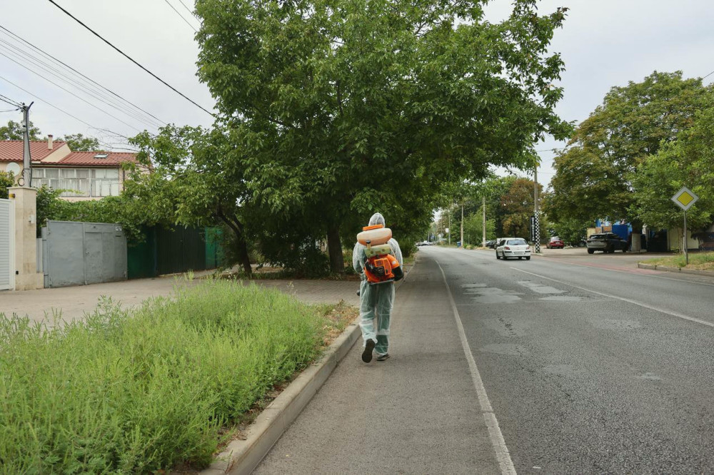 8080 image for slide