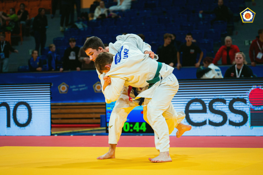 9024 image for slide