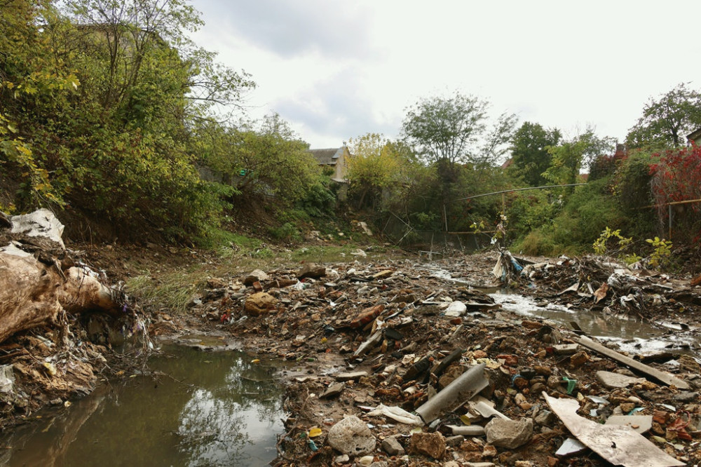 9063 image for slide